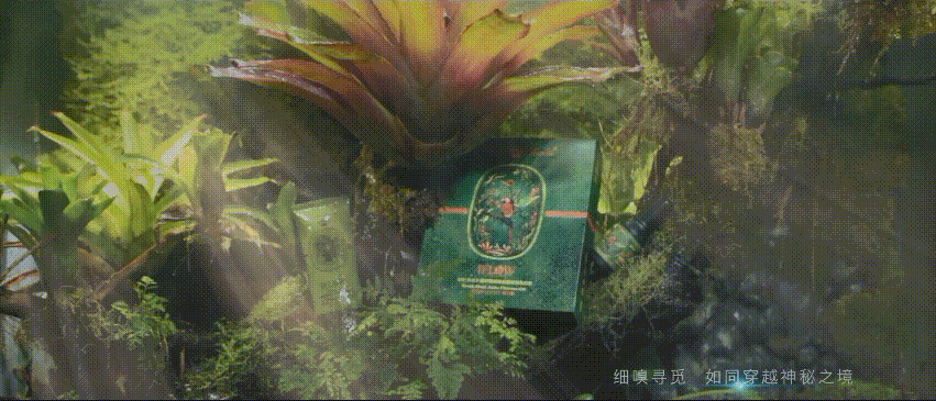 深圳宣传片制作剧情展示图